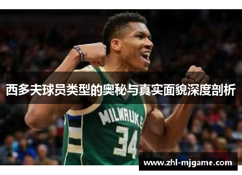 西多夫球员类型的奥秘与真实面貌深度剖析
